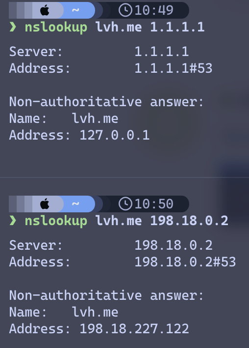 nslookup